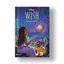 Capa do Livro Pop Capa Dura - Wish