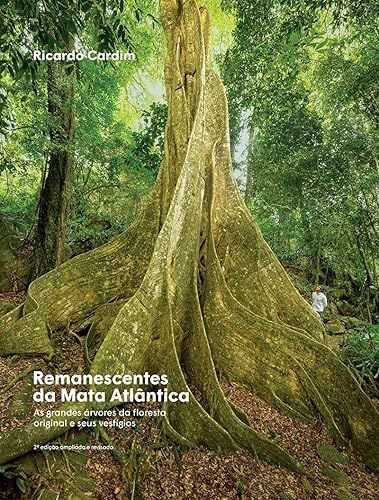 Remanescentes da Mata Atlântica: As grandes árvores da floresta original e seus vestígios